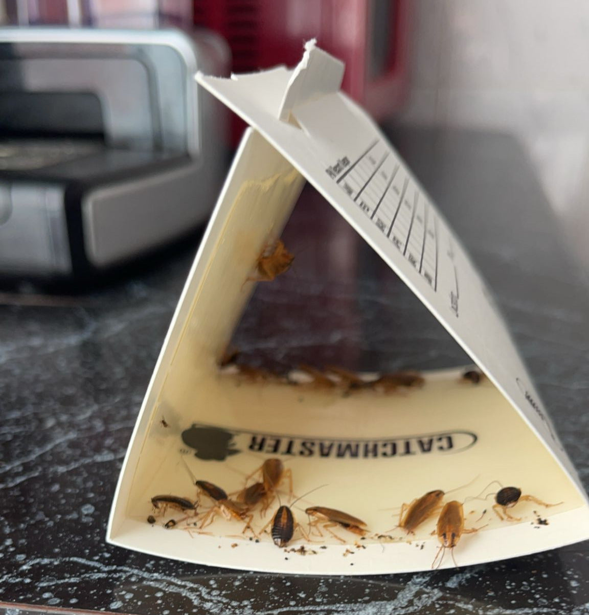 Benzi anti-gândaci cu atractant