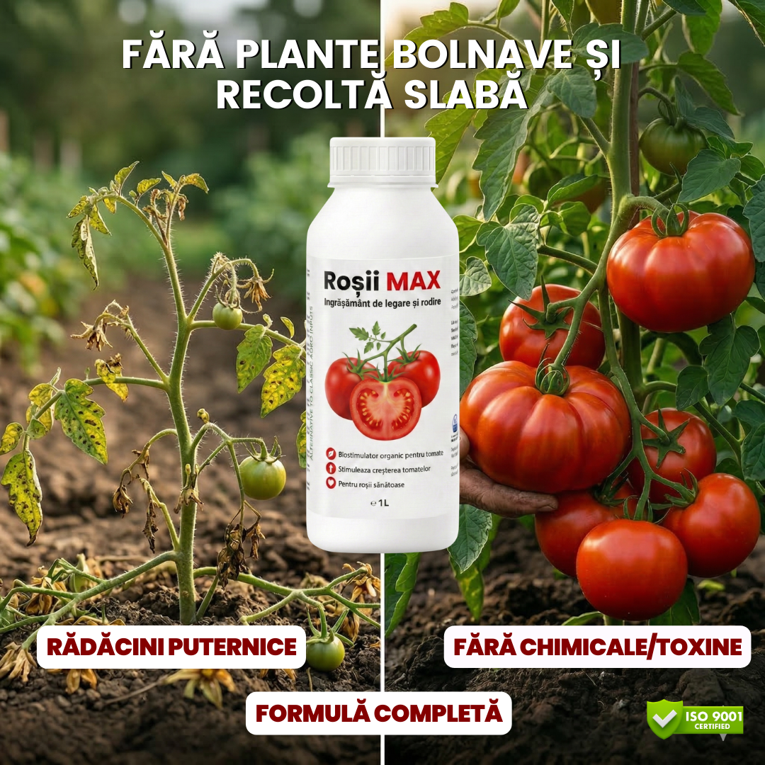 RoșiiMAX-Îngrășământ organic de legare și rodire, concentrat pentru roșii-1 LITRU