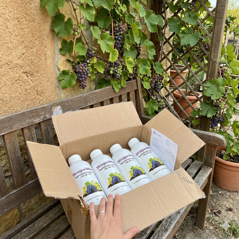 Marian Vasilache review photo